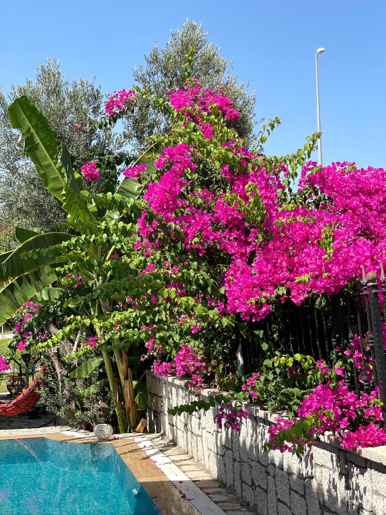 Ata Boutique Hotel Çeşme Esterno foto