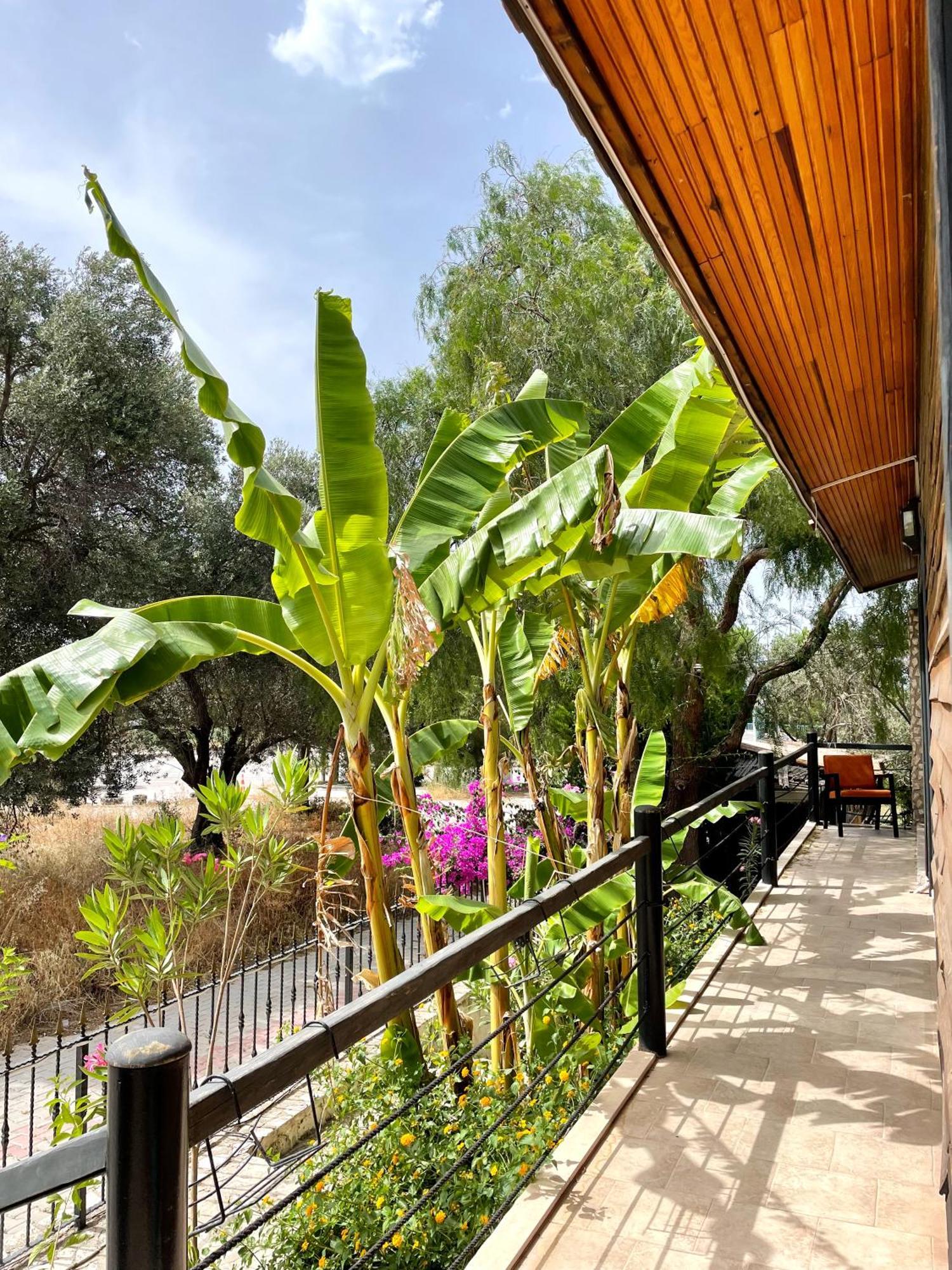 Ata Boutique Hotel Çeşme Esterno foto